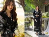 Elaf Premium Vol 7 By Deepsy Pure Cotton Pakistani Dress Material
